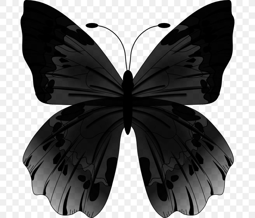 Butterfly Vector Graphics Clip Art Image, PNG, 688x700px, Butterfly, Arthropod, Black, Blackandwhite, Brushfooted Butterfly Download Free