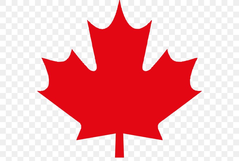 Clip Art Flag Of Canada Maple Leaf Openclipart, PNG, 564x554px, Canada, Flag Of Canada, Flower, Flowering Plant, Green Download Free