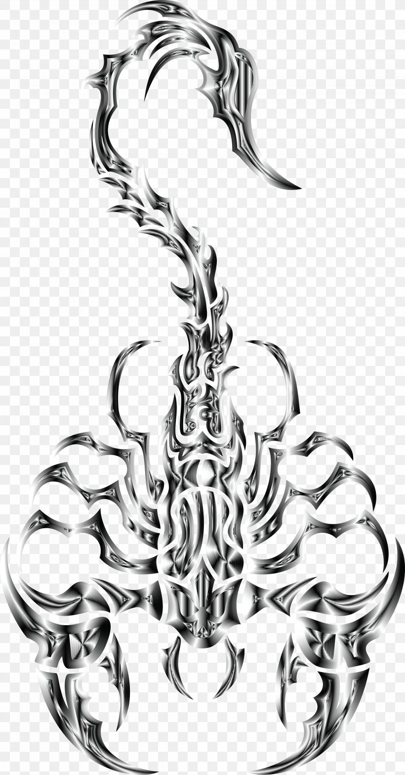Clip Art Scorpion Free Content, PNG, 4184x8000px, Scorpion, Arachnid, Black And White, Body Jewelry, Drawing Download Free