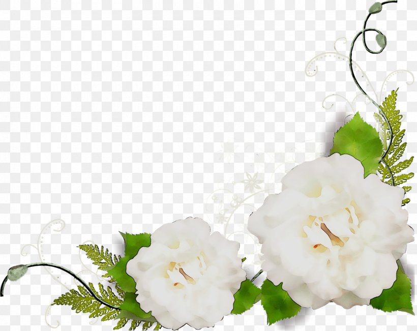 Garden Roses Floral Design Cut Flowers, PNG, 1760x1399px, Garden Roses, Bouquet, Branch, Color, Cut Flowers Download Free