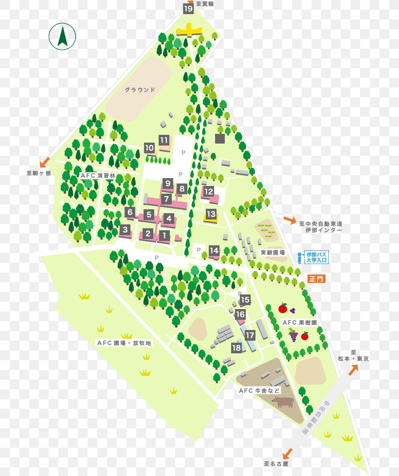Shinshu University Agriculture Ina Interchange Accommodation, PNG, 711x978px, University, Accommodation, Area, Campus, Christmas Tree Download Free