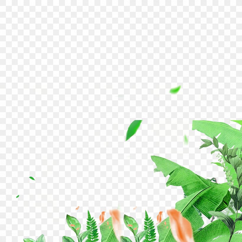 Banner Poster Icon, PNG, 1000x1000px, Banner, Advertising, Ecommerce, Grass, Green Download Free