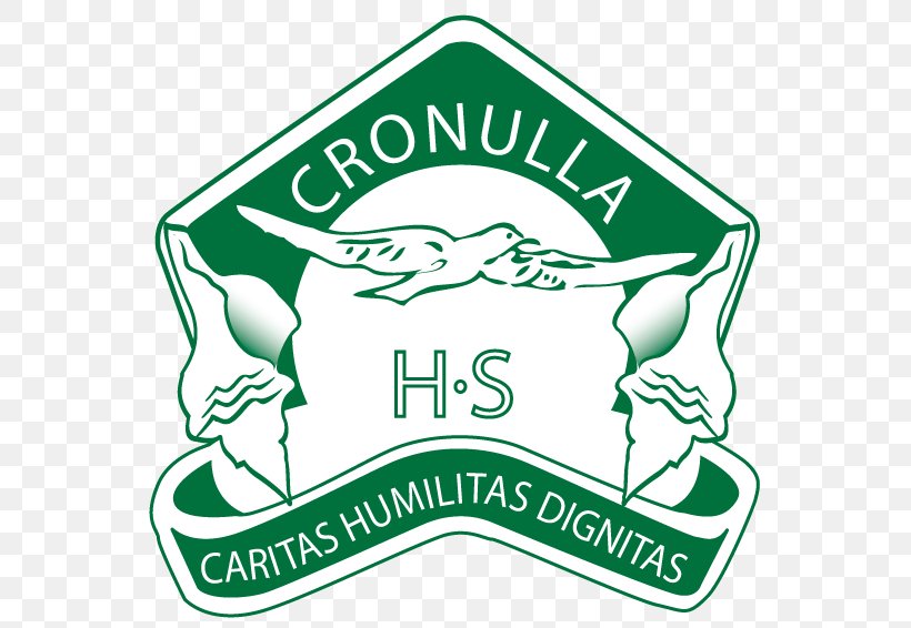 Cronulla High School Education National Secondary School Cronulla-Sutherland Sharks, PNG, 569x566px, School, Academy, Area, Brand, Career Download Free