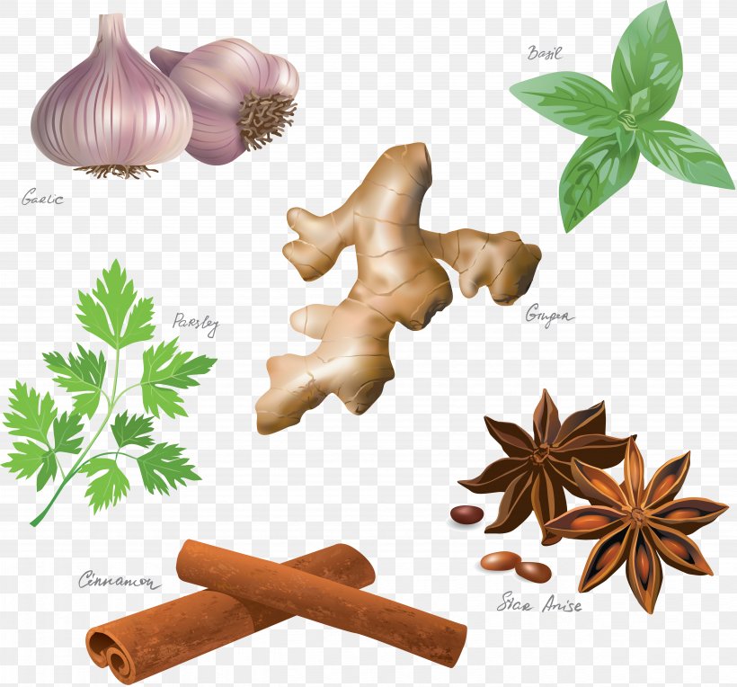 Ginger, PNG, 5358x4995px, Spice, Anise, Bay Leaf, Cardamom, Chili Pepper Download Free
