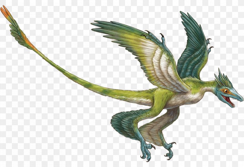 Microraptor Velociraptor Triceratops Rahonavis Deinonychus, PNG, 936x640px, Microraptor, Allosaurus, Beak, Bird, Cretaceous Download Free