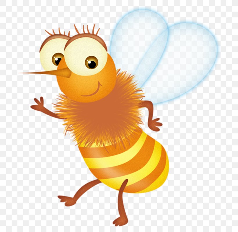Bee Insect Apis Florea Illustration, PNG, 720x800px, Bee, Animation, Apis Florea, Art, Beak Download Free