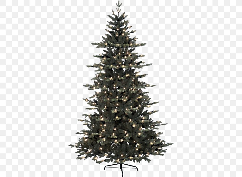 Christmas Tree, PNG, 600x600px, Shortleaf Black Spruce, Balsam Fir, Christmas Tree, Colorado Spruce, Columbian Spruce Download Free