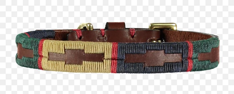 Dog Collar Belt Leash, PNG, 800x331px, Dog, Belt, Brass, Breed, Buckle Download Free