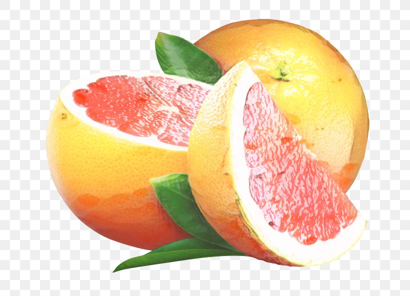 Lemon, PNG, 749x592px, Grapefruit, Accessory Fruit, Acid, Citric Acid, Citrus Download Free