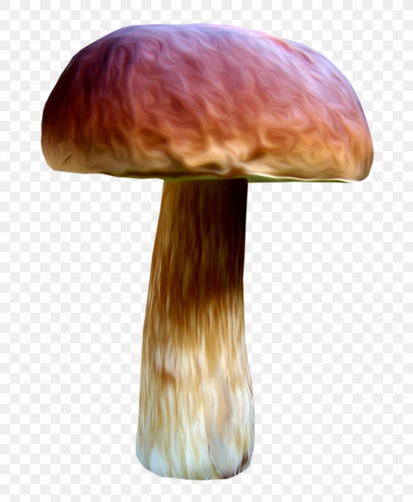 Mushroom Fungus Drawing Medicinal Fungi, PNG, 1232x1496px, Mushroom, Drawing, Forest, Fungus, Gratis Download Free