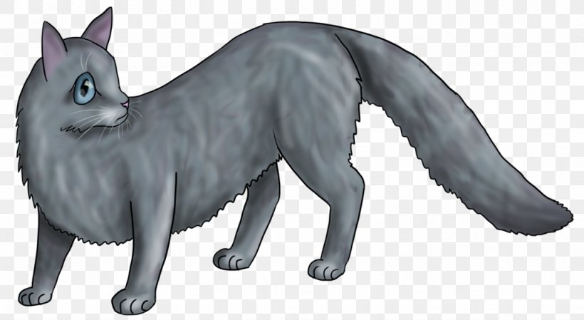 Whiskers Red Fox Gray Wolf Cat Fur, PNG, 1024x561px, Whiskers, Animal, Animal Figure, Carnivoran, Cat Download Free