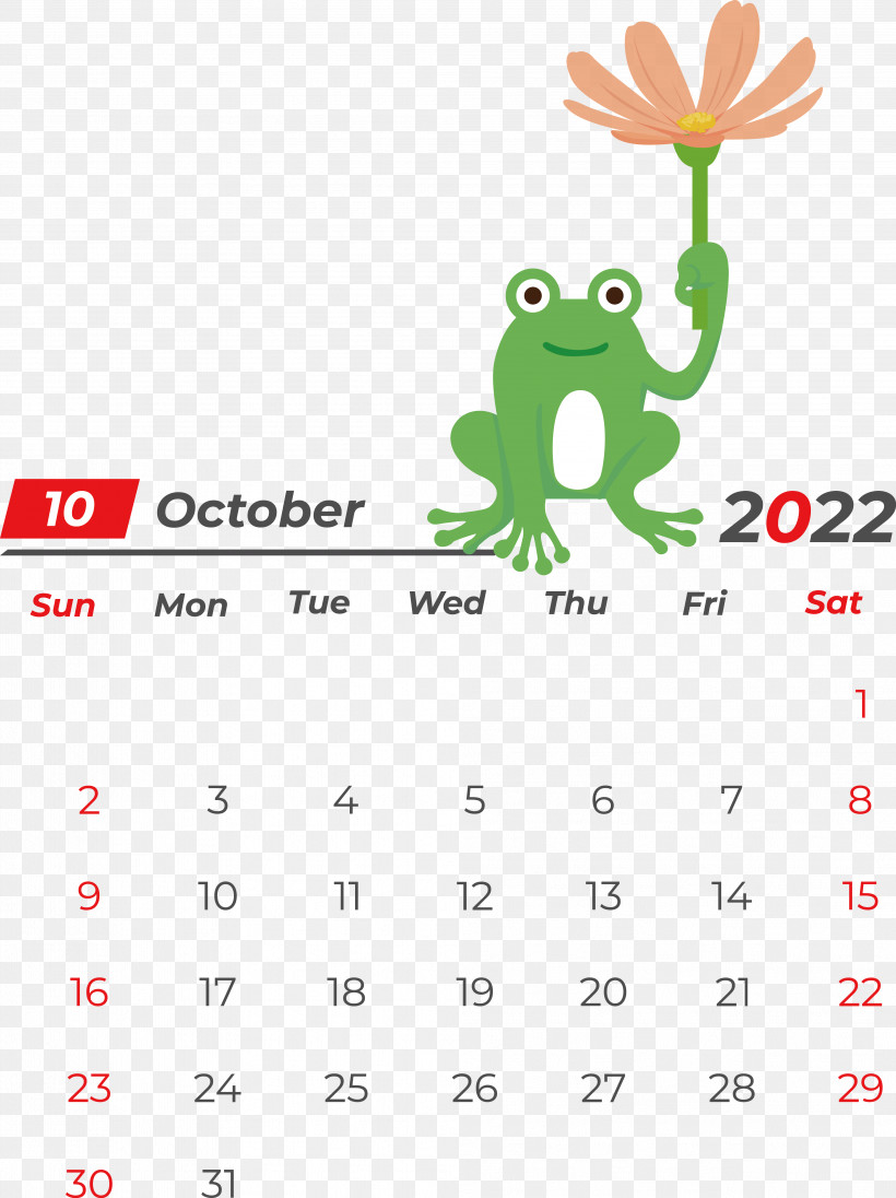 Calendário Fevereiro 2022 Calendar Icon Symbol Line, PNG, 3974x5314px, Calendar, Computer, Drawing, Holiday, Line Download Free