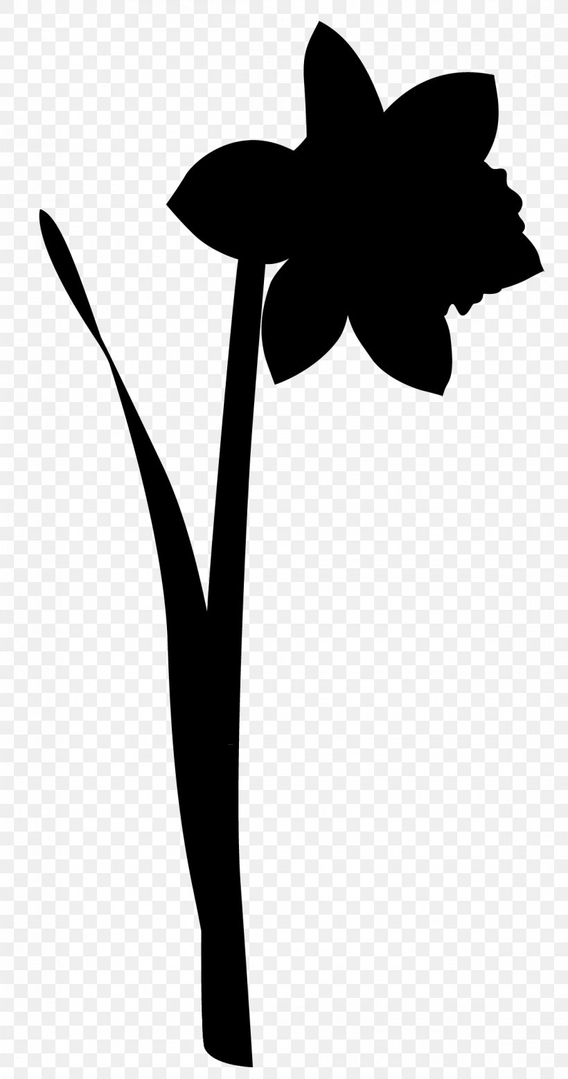 Clip Art Flower Plant Stem Leaf Silhouette, PNG, 1160x2203px, Flower, Amaryllis Family, Blackandwhite, Botany, Flowering Plant Download Free