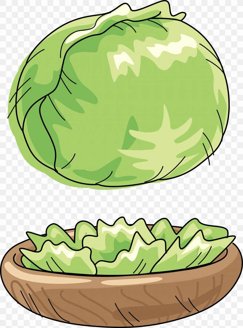 Cabbage Watermelon Vegetable Cartoon Clip Art, PNG, 3700x4999px, Cabbage, Avocado, Brassica Oleracea, Cartoon, Cucumber Download Free