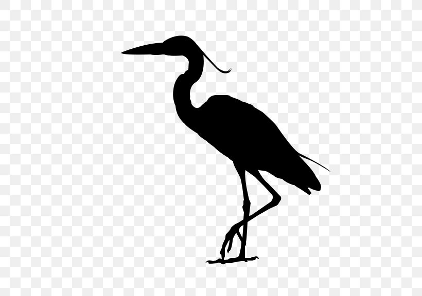 Ibis Water Bird Stork Beak, PNG, 535x576px, Ibis, Beak, Bird, Crane, Cranelike Bird Download Free