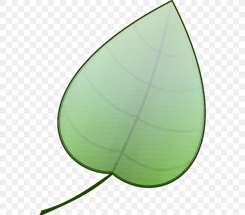 Leaf Green Plant, PNG, 558x720px, Leaf, Green, Plant Download Free