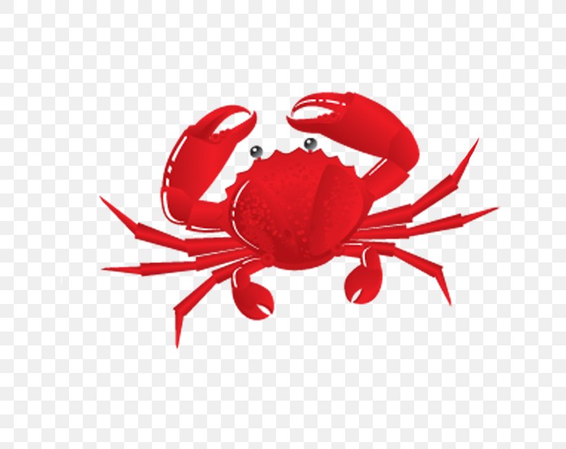 Chilli Crab Clip Art Vector Graphics 4th Annual United Way Crab Feast, PNG, 800x650px, Crab, Chilli Crab, Chinese Mitten Crab, Decapoda, Decapods Download Free