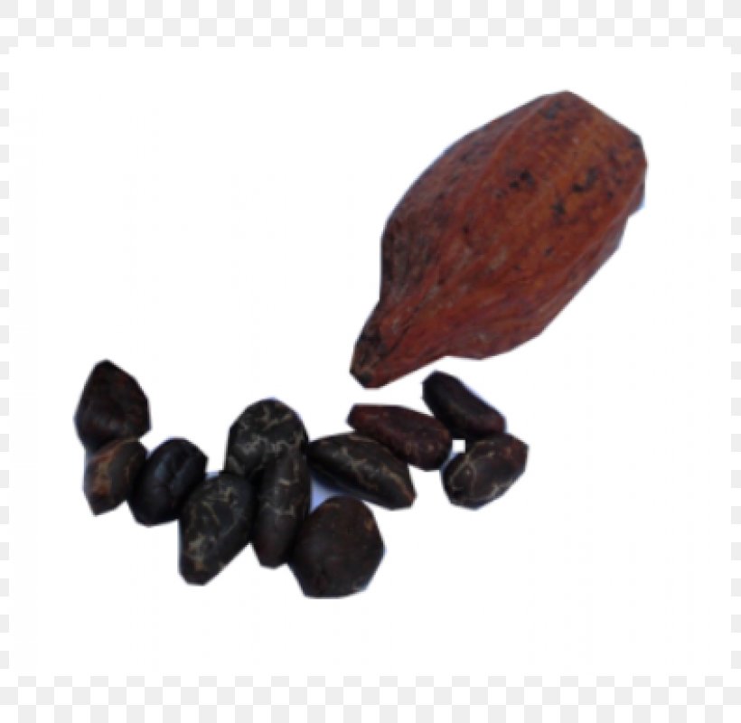 Cocoa Bean Commodity Theobroma Cacao, PNG, 800x800px, Cocoa Bean, Commodity, Nuts Seeds, Superfood, Theobroma Cacao Download Free