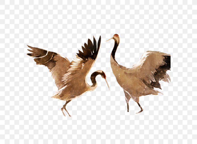 Duck Red-crowned Crane Goose Bird, PNG, 600x600px, Duck, Animation, Beak, Bird, Cartoon Download Free