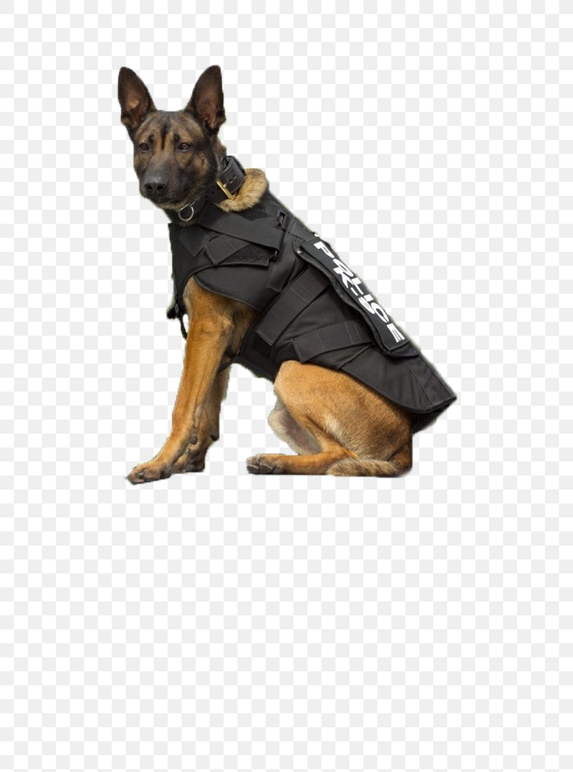 German Shepherd Puppy Poodle Dog Breed Police Dog, PNG, 500x1104px, German Shepherd, Breed, Bullet Proof Vests, Dog, Dog Bite Download Free