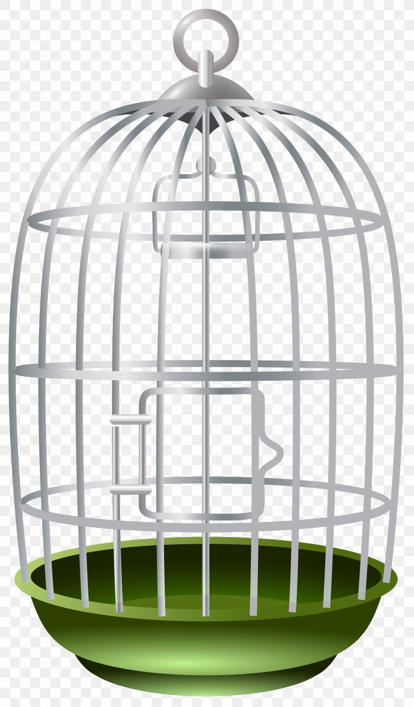 Parrot Lovebird Birdcage, PNG, 3518x6000px, Parrot, Bird, Birdcage, Cage, Lovebird Download Free