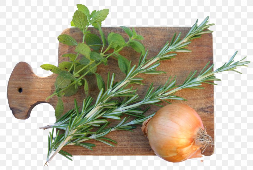 Rosemary Spice Herb Onion, PNG, 1280x863px, Rosemary, Basil, Culinary Art, Essential Oil, Food Download Free