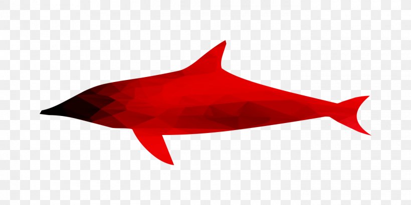 Shark Marine Biology Dolphin RED.M, PNG, 1400x700px, Shark, Biology, Dolphin, Fin, Fish Download Free
