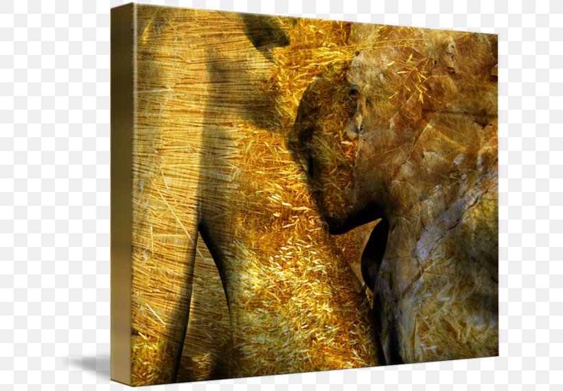 Stock Photography Elephantidae Mammoth, PNG, 650x570px, Stock Photography, Elephantidae, Elephants And Mammoths, Mammal, Mammoth Download Free