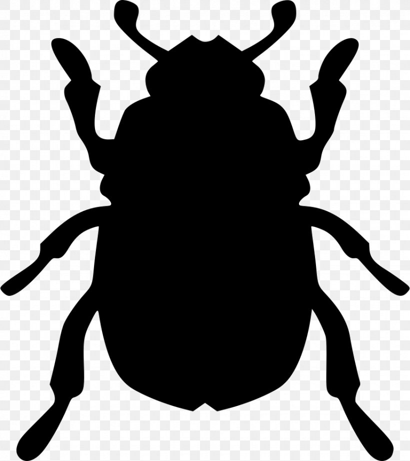 Beetle Biology Clip Art, PNG, 872x980px, Beetle, Artwork, Biological Membrane, Biology, Black And White Download Free