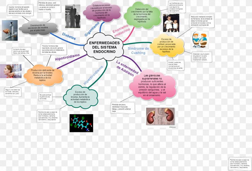 Graphic Design Brand Diagram Human Behavior, PNG, 1730x1173px, Brand, Behavior, Communication, Diagram, Homo Sapiens Download Free