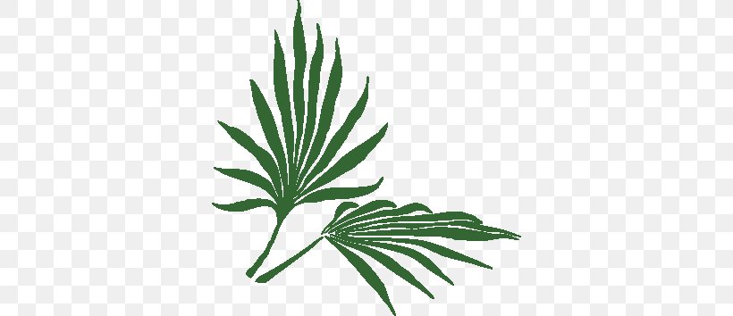 Plant Frond Tropics Clip Art, PNG, 346x354px, Plant, Arecaceae, Arecales, Branch, Frond Download Free