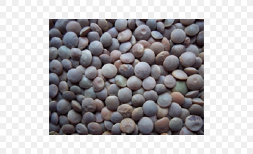 Seed, PNG, 500x500px, Seed, Commodity, Material, Pebble, Pulse Download Free