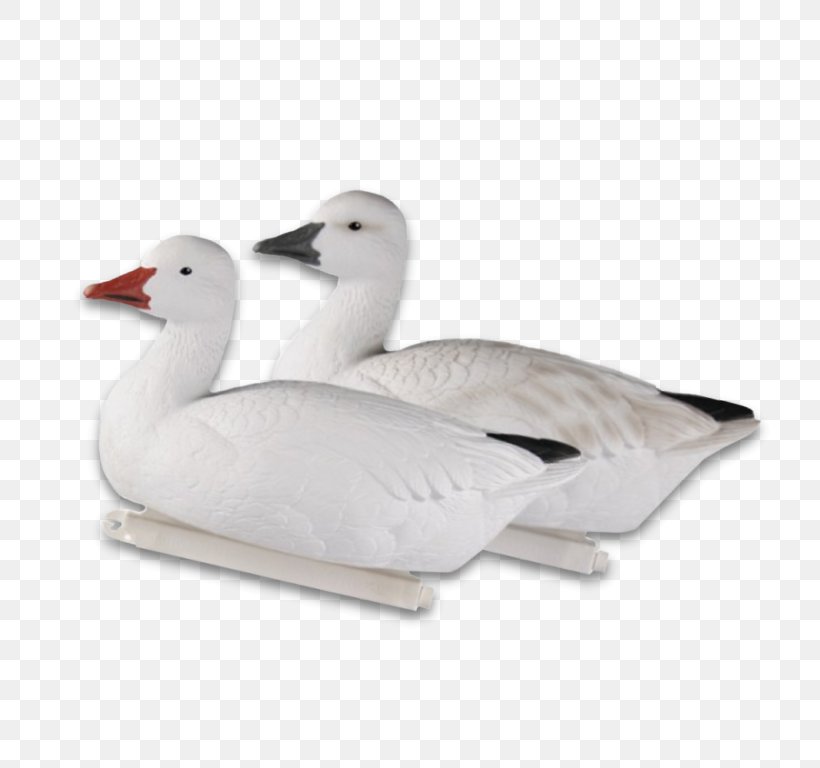 Snow Goose Duck Dangate Mallard, PNG, 768x768px, Goose, Beak, Bird, Canada Goose, Dangate Download Free