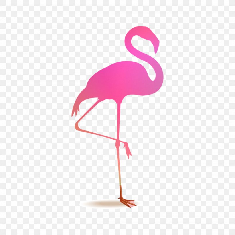 Flamingo Royalty-free, PNG, 2048x2048px, Flamingo, Beak, Bird, Depositphotos, Drawing Download Free