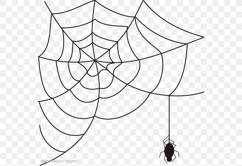 Spider Web Clip Art, PNG, 564x564px, Spider, Area, Black And White, Blog, Drawing Download Free
