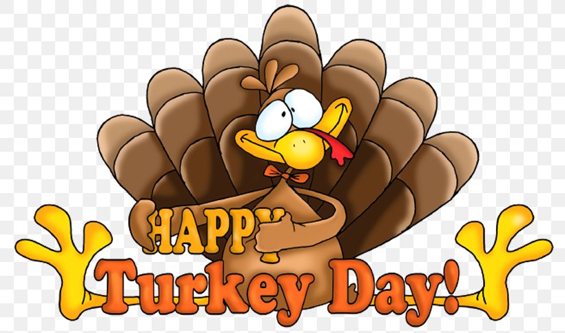 Thanksgiving Turkey Public Holiday Clip Art, PNG, 800x483px, Thanksgiving, Carnivoran, Cartoon, Cornucopia, Free Content Download Free
