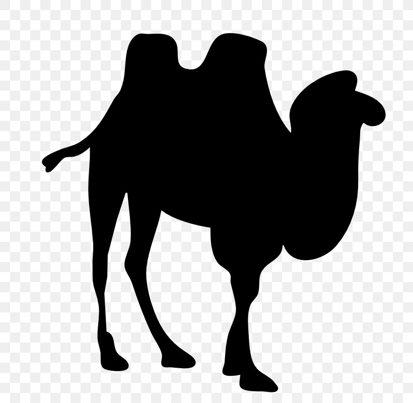 Bactrian Camel Dromedary Silhouette Clip Art, PNG, 800x800px, Bactrian Camel, Black And White, Camel, Camel Like Mammal, Camel Train Download Free