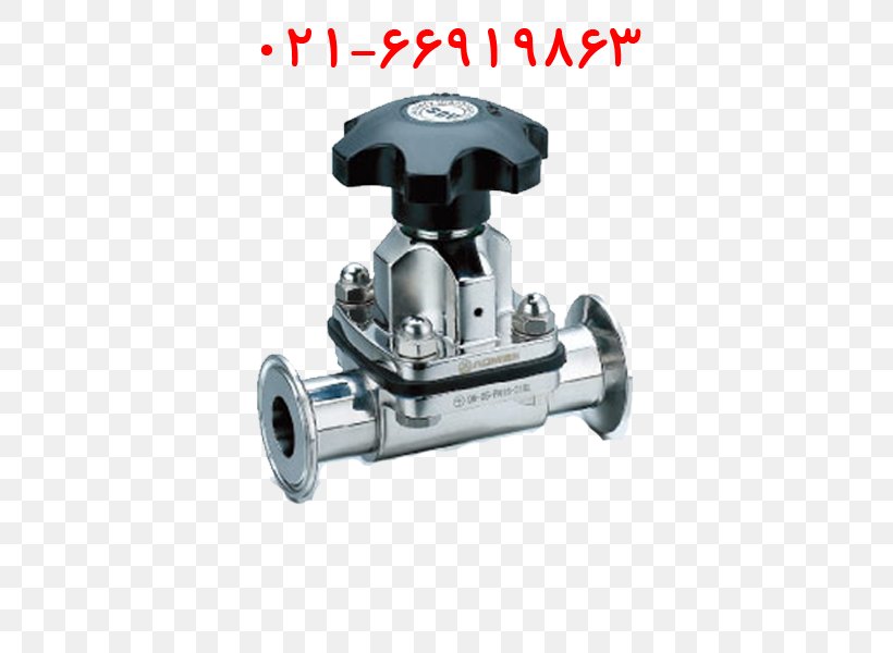 Diaphragm Valve Ball Valve Stainless Steel Piping And Plumbing Fitting, PNG, 600x600px, Valve, Ball Valve, Butterfly Valve, Check Valve, Diaphragm Valve Download Free