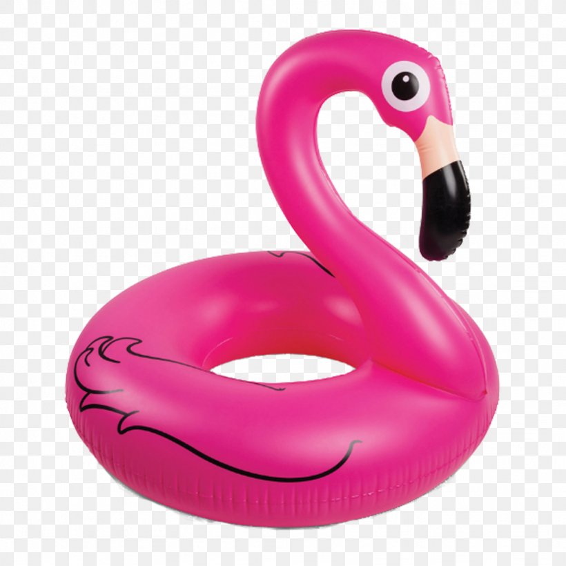 Swimming Pools Swim Ring Inflatable Flamingo Water Bird, PNG, 1024x1024px, Swimming Pools, Backyard, Big Mouth, Ducks Geese Swans, Flamingo Download Free