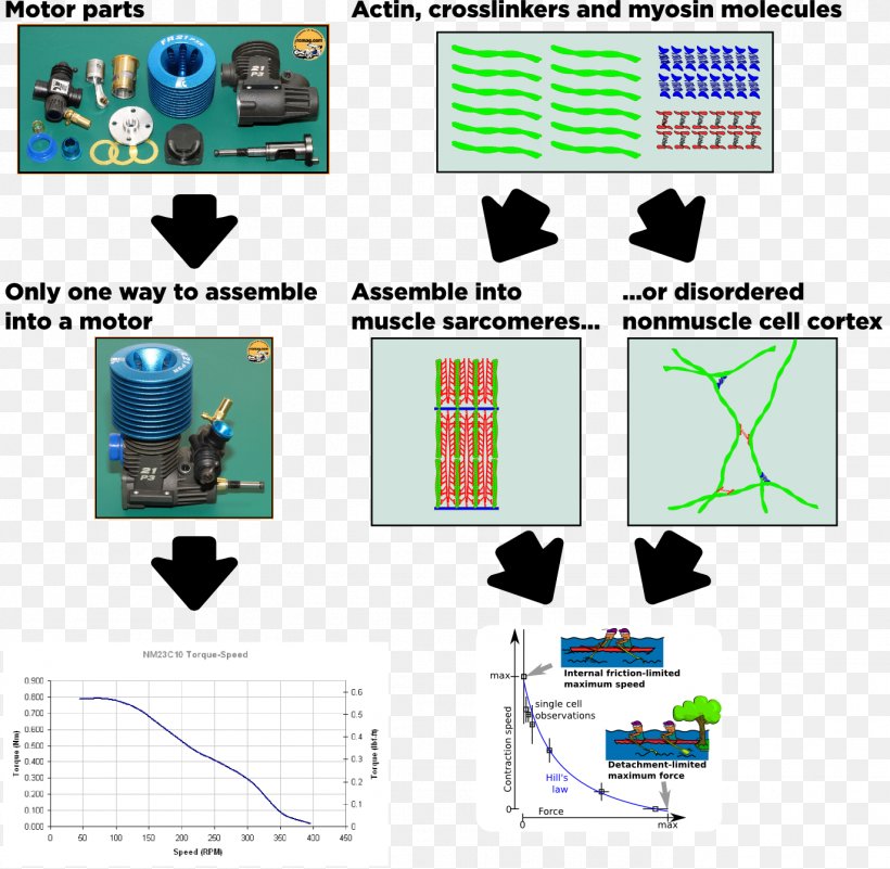 Technology Machine Engineering Line, PNG, 1373x1342px, Technology, Area, Diagram, Engineering, Machine Download Free