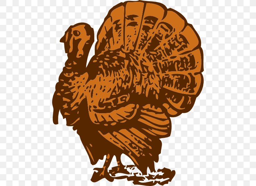 Turkey Meat Thanksgiving Clip Art, PNG, 486x598px, Turkey, Art, Beak, Bird, Chicken Download Free