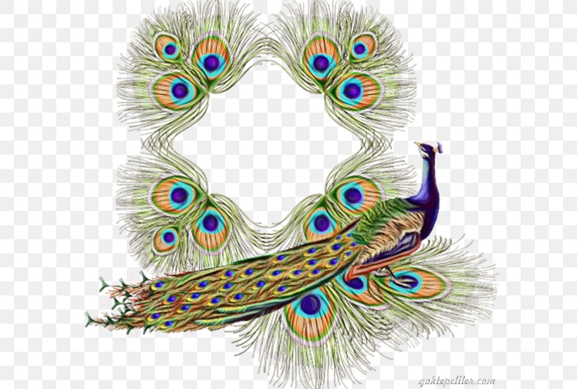 Bird Logo, PNG, 600x553px, Peafowl, Animal, Bird, Costume Accessory, Drawing Download Free