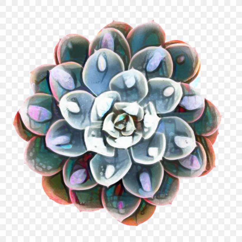 Cactus Cartoon, PNG, 1024x1024px, Echeveria Peacockii, Brooch, Cactus, Echeveria, Echeveria Derenbergii Download Free