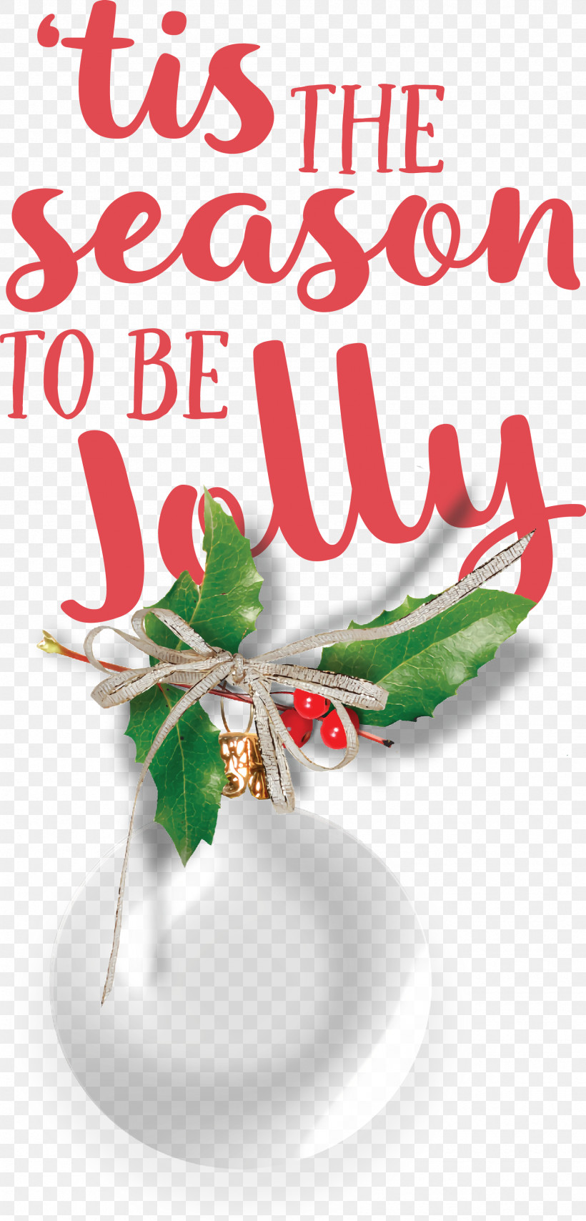 Christmas Day, PNG, 1795x3741px, Bauble, Biology, Christmas Day, Flower, Holiday Download Free