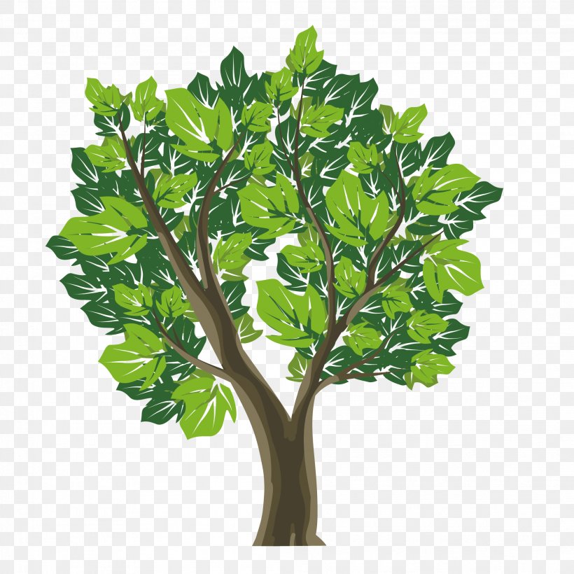 Vector Graphics Stock Photography Illustration Image Royalty-free, PNG, 2107x2107px, Stock Photography, Branch, Flower, Flowering Plant, Green Download Free