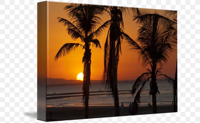 Coconut Arecaceae Gallery Wrap Picture Frames Sunset, PNG, 650x506px, Coconut, Arecaceae, Arecales, Art, Canvas Download Free