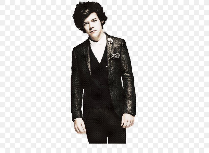 Harry Styles One Direction Celebrity Blog, PNG, 500x600px, Watercolor, Cartoon, Flower, Frame, Heart Download Free