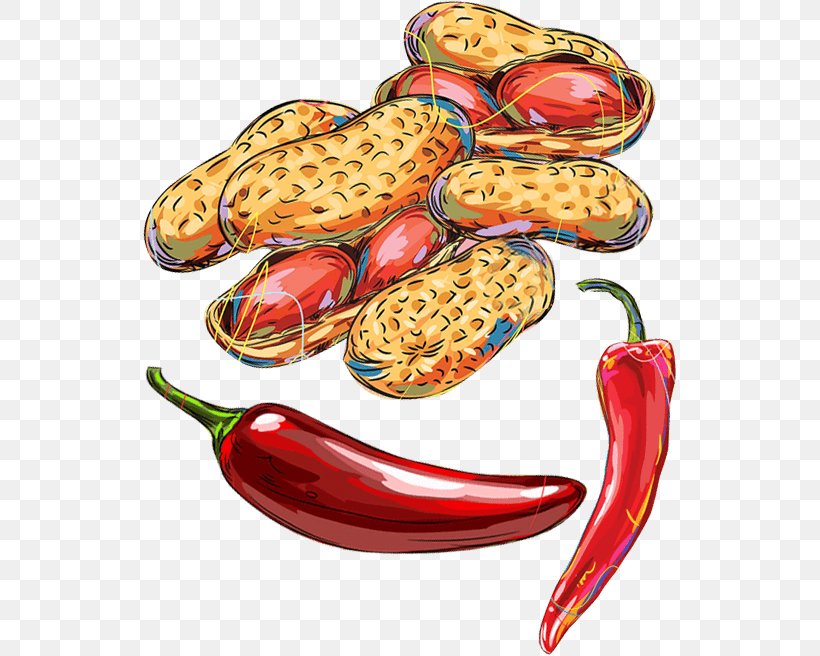 Chili Pepper Food Bell Pepper Fruit Paprika, PNG, 534x656px, Chili Pepper, Bell Pepper, Bell Peppers And Chili Peppers, Capsicum Annuum, Chili Powder Download Free