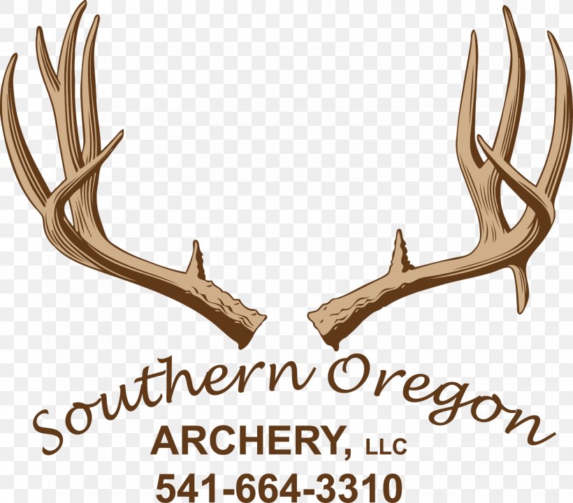 Elk Reindeer Trophy Hunting Paperback Antler, PNG, 1609x1413px, Elk, Antler, Aromatherapy, Deer, Horn Download Free