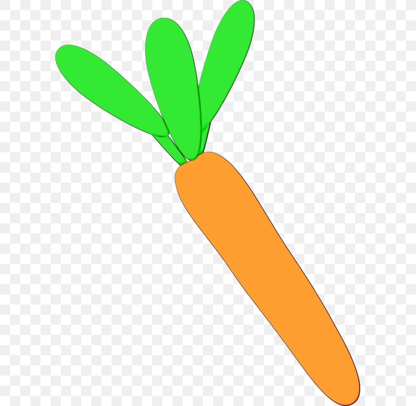 Clip Art Carrot Leaf Plant Propeller, PNG, 601x800px, Watercolor, Carrot, Leaf, Logo, Paint Download Free